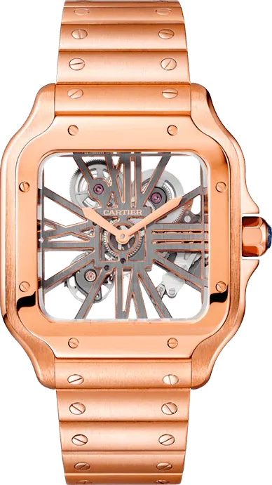 Cartier Santions de cartier